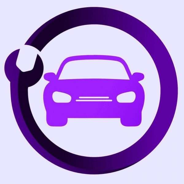 درپوش وسط رینگ خودرو چیکال مدل Q-10 برای پژو 207 – بسته 4 عددی - نمای کلی