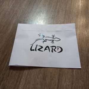 برچسب بدنه خودرو لیزارد طرح دلارامم حسین کد LZD-023